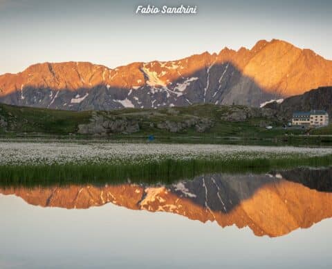 Monte Gavia - Cresta E (3223mslm) - Alpinismo al Passo Gavia