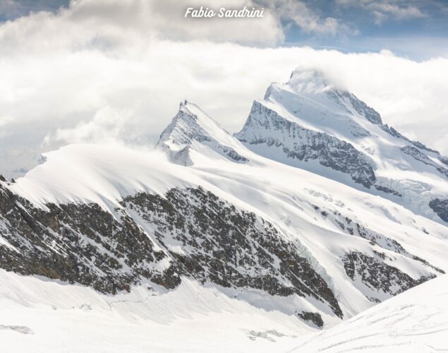 Grosses & Hinteres Fiescherhorn (4049-4025mslm) – Sci Alpinismo in Oberland Bernese