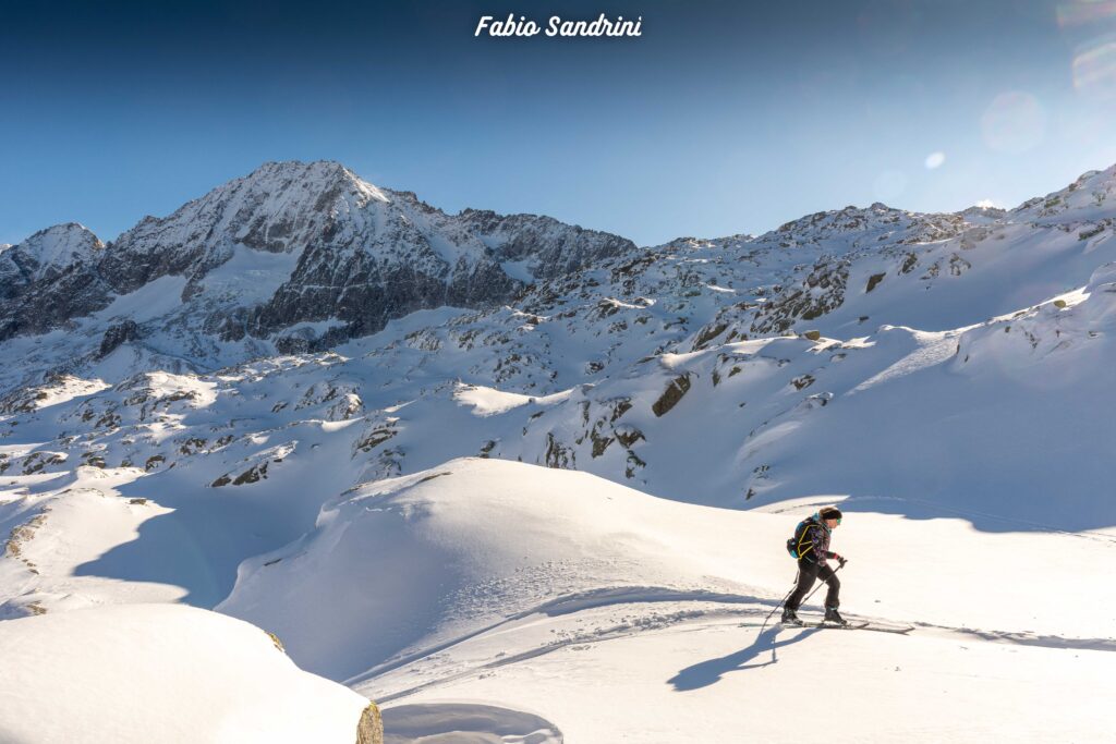 Sgualdrina - Passo del Tonale