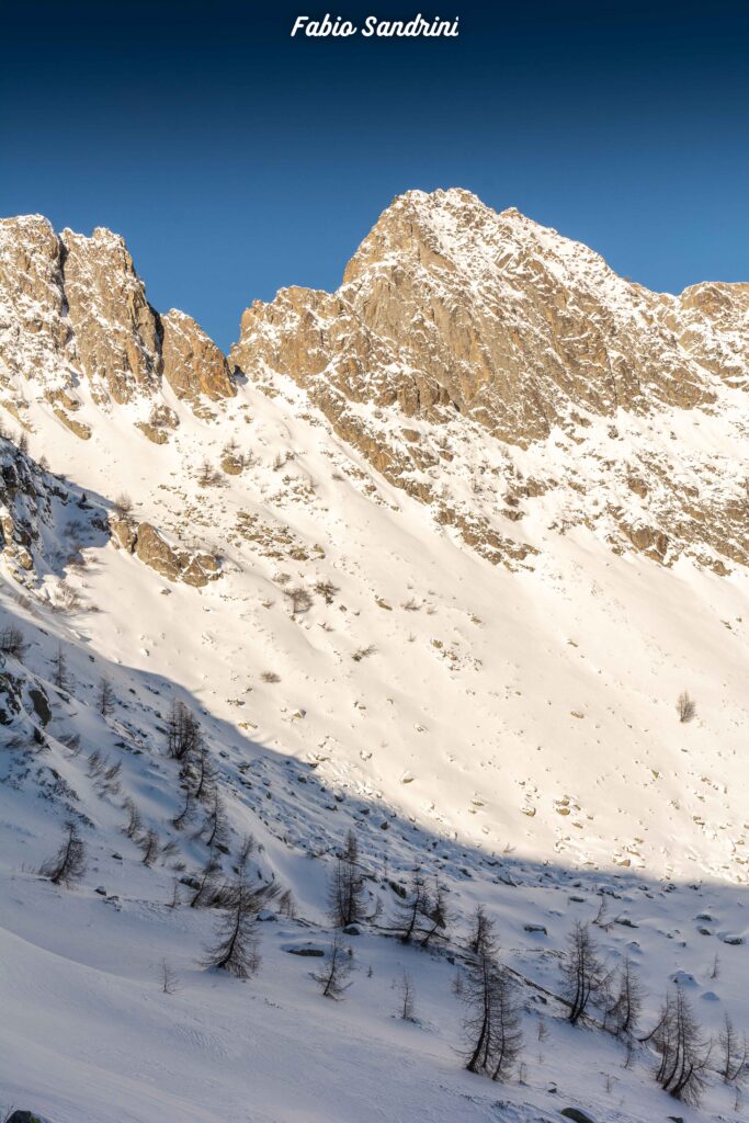 Sgualdrina - Passo del Tonale