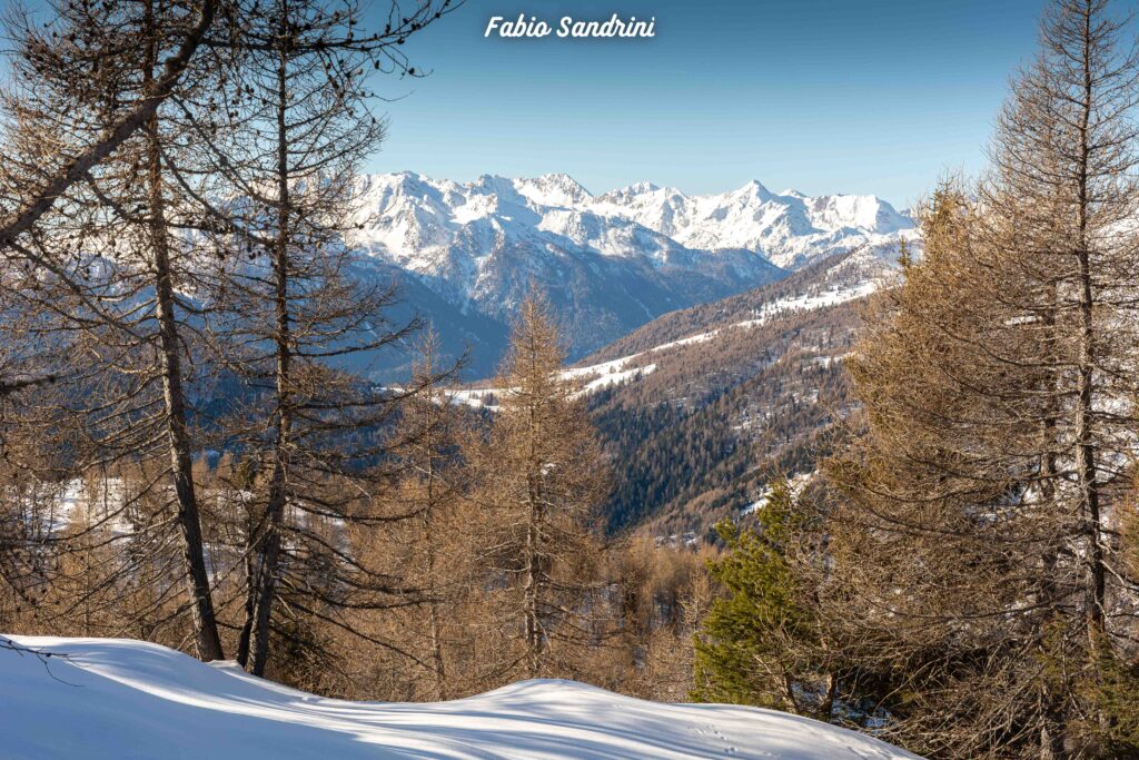 Scialpinismo al Monte Pagano